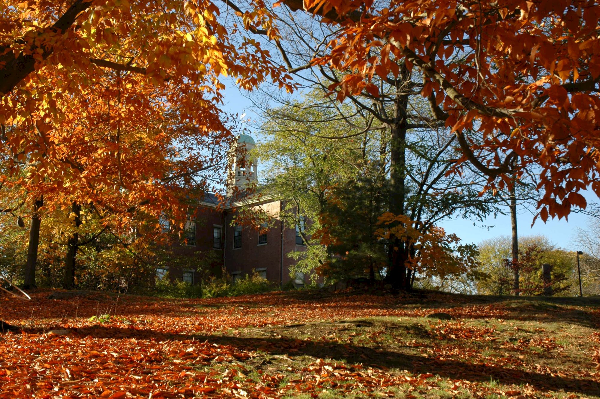 A brick building surrounded by autumn trees with vibrant red and orange leaves, and fallen leaves covering the ground beneath.