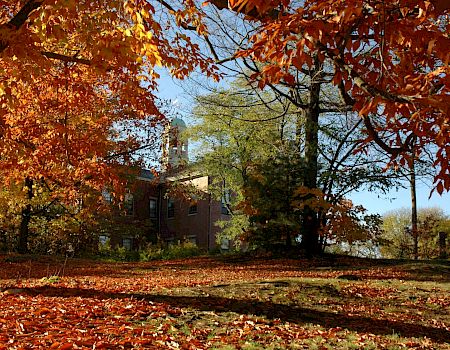Autumn leaves glow as bare-limbed trees frame a brick building under a clear blue sky.